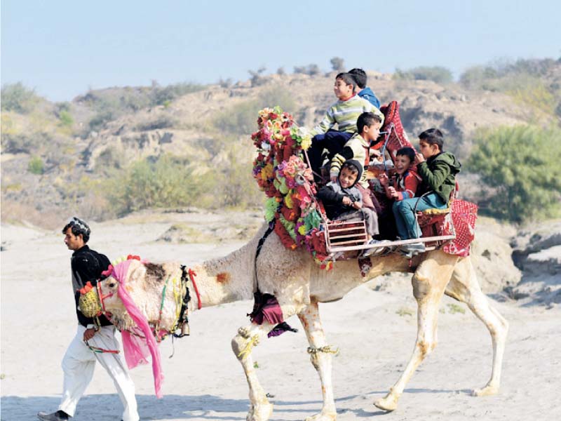 orphans enjoy a camel ride on riverbank while a ptdc volunteer distributes books among children photo express