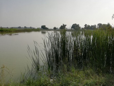 lungh lake a little known natural resort of sindh