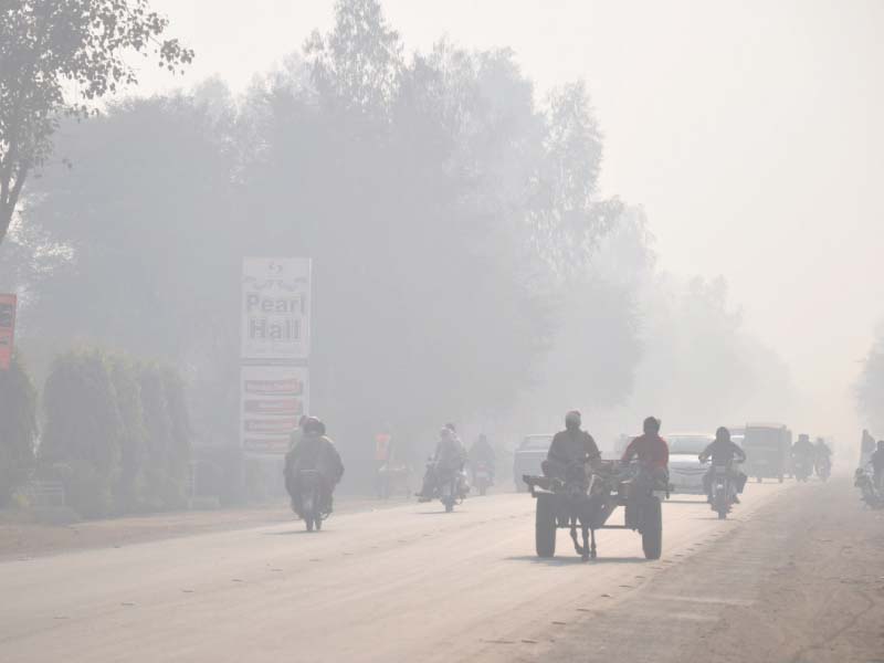 motorists travel through fog on faisalabad road in sargodha photo express