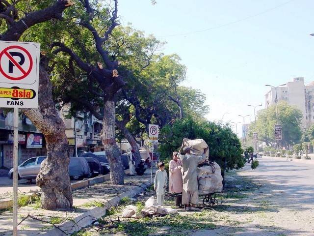 trees being trimmed in gulshan e iqbal karachi photo file