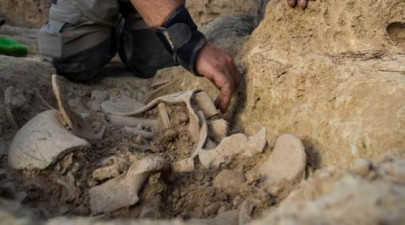 two mass graves found in raqa syrian state media two mass graves found in raqa syrian state media