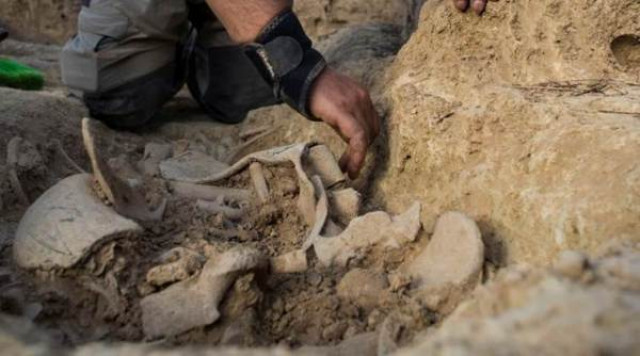 two mass graves found in raqa photo reuters two mass graves found in raqa photo reuters