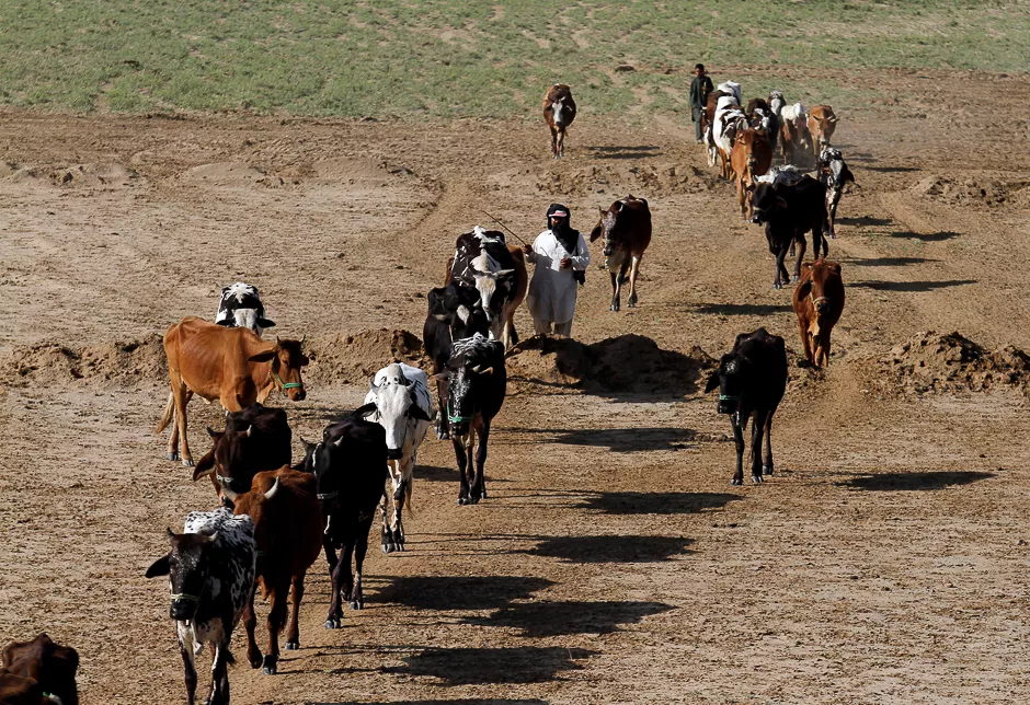 photo reuters photo reuters