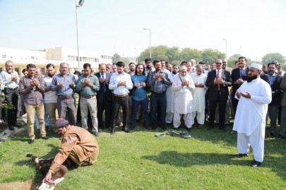 goat sacrificed to rid caa of its boss goat sacrificed to rid caa of its boss