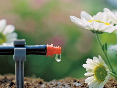 drip irrigation system helps save water increases yield drip irrigation system helps save water increases yield