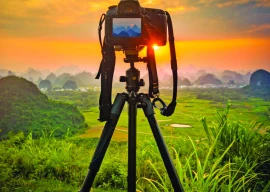 frozen in flashbulbs frozen in flashbulbs