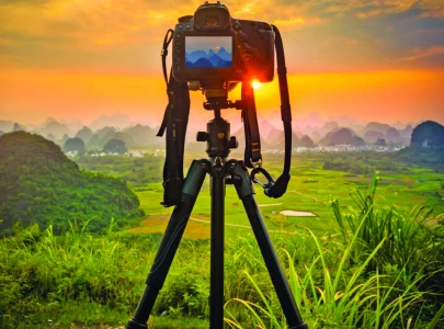 frozen in flashbulbs frozen in flashbulbs