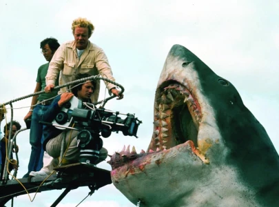 the shark s not working the shark s not working