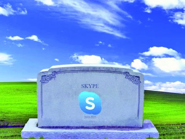 whatever its foibles skype paved the way for others photo file whatever its foibles skype paved the way for others photo file