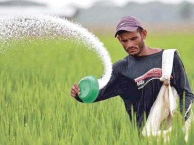 punjab launches direct subsidy on fertilisers programme punjab launches direct subsidy on fertilisers programme