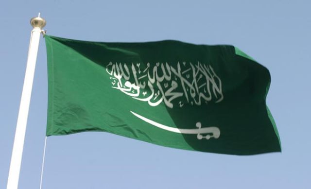 eleven saudi princes detained following protest media