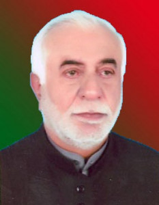 bizenjo throws weight behind government