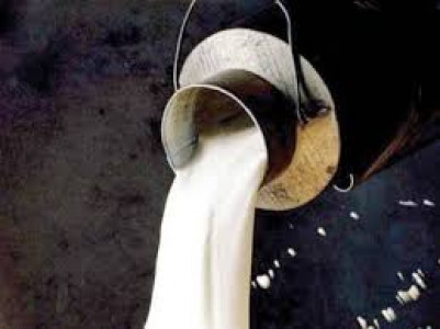 12 milk sellers held for adulteration 12 milk sellers held for adulteration