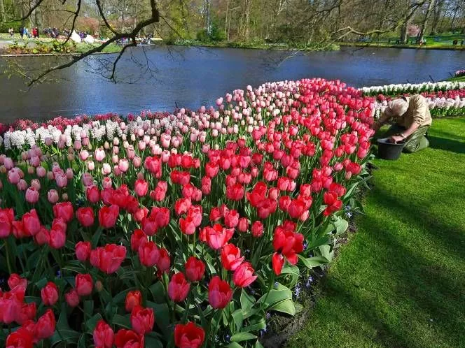 work on botanical garden in bani galla to start today photo reuters