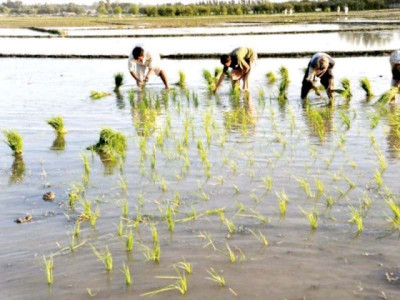 reap to strengthen bond with international buyers reap to strengthen bond with international buyers