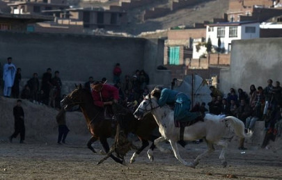 beasts of war afghanistan s buzkashi horses prepare for battle
