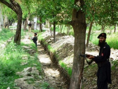 timber mafia suspected in forest guard s slaying timber mafia suspected in forest guard s slaying