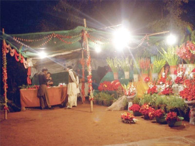 two new flower markets set to bloom in punjab two new flower markets set to bloom in punjab