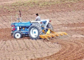 fao backs eco friendly nutritious farming