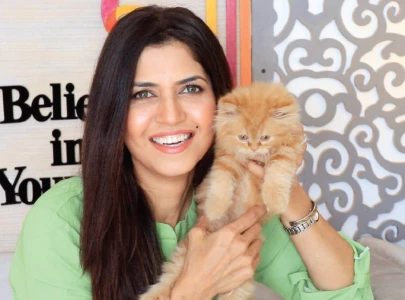 if you re unable to give your pets time don t keep them