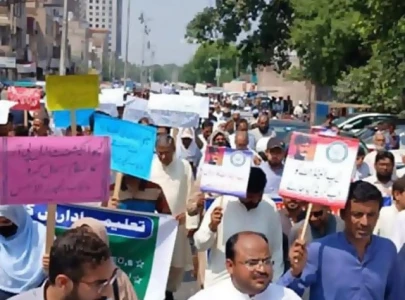 educators protest privatisation drive