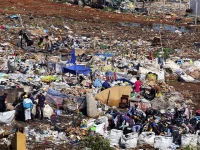 rs486m goes to waste as land record project falters
