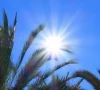hot dry spell to continue hot dry spell to continue