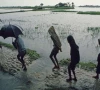 uncertain monsoon threatens agriculture uncertain monsoon threatens agriculture