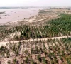 riverside forests parks assuage ravi depletion riverside forests parks assuage ravi depletion