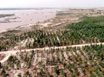 riverside forests parks assuage ravi depletion riverside forests parks assuage ravi depletion