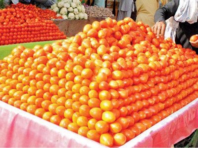 indonesia lifts quota restrictions on pakistani kinnow