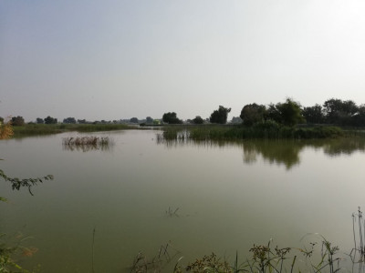 vehicle plunges into pond in india killing 7 vehicle plunges into pond in india killing 7