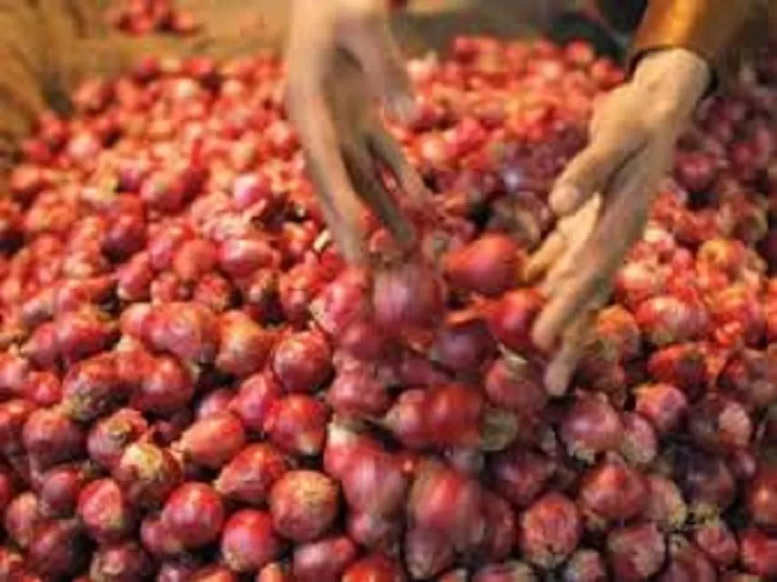 fruit and vegetable market has been overtaken by a mafia in capital photo afp fruit and vegetable market has been overtaken by a mafia in capital photo afp