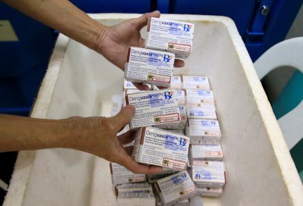 a health worker shows unused packs of anti dengue vaccine dengvaxia before returning it inside a freezer for storage at the manila health department in sta cruz metro manila philippines photo reuters