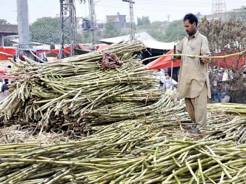 the economic coordination committee in its meeting held in december last year approved a minimum benefit of rs15 billion for the millers through procurement of 300 000 tons of surplus sugar stock photo inp