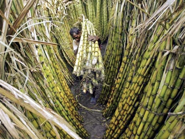 this came despite the fact that an association of commercial banks had supported the growers and even the sbp had endorsed the old mechanism saying it would guarantee timely payments to the farmers photo reuters