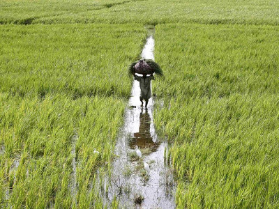 agriculture exhibition to start on feb 10 in larkana agriculture exhibition to start on feb 10 in larkana