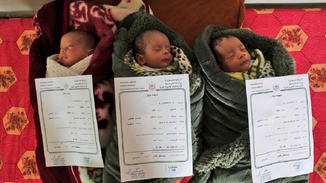 a picture taken on february 2 2018 shows three palestinian newborn triplets of the al saiqli family named r to l quot quds quot arabic for jerusalem quot palestine quot and quot capital quot as they lie sleeping with their birth certificates placed above them in the southern gaza strip city of khan yunis photo afp