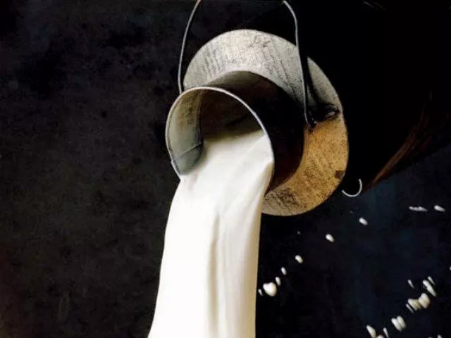 the senate standing committee on interior took notice on tuesday of sale of adulterated milk and dead animals meat in islamabad photo file the senate standing committee on interior took notice on tuesday of sale of adulterated milk and dead animals meat in islamabad photo file