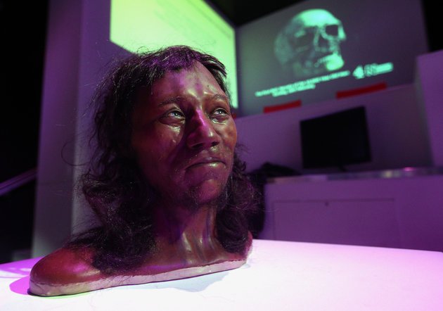 DNA shows ancient hunter had blue eyes, dark skin