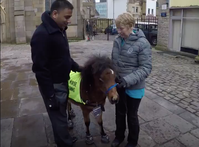 digby the eight month old guide horse with mohammed salim patel left and trainer katy smith photo courtesy bbc