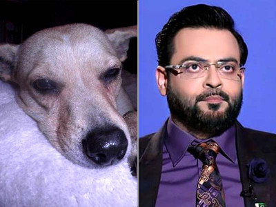 graduates of ashwood university