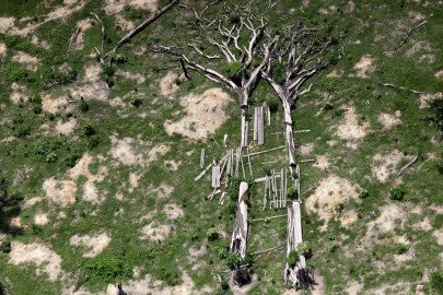 stone crushing mining illegal in forests stone crushing mining illegal in forests