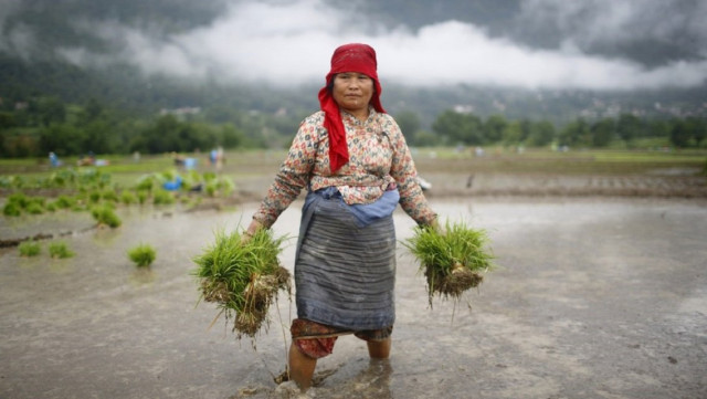 experts say women more vulnerable to climate change impacts photo reuters file experts say women more vulnerable to climate change impacts photo reuters file