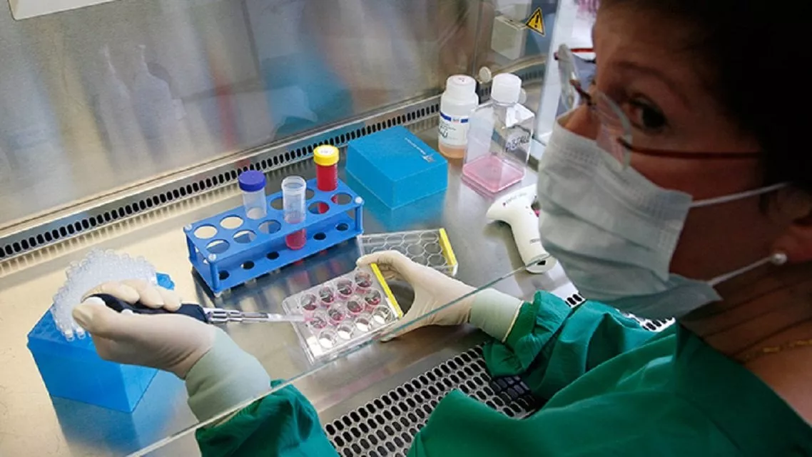 mardan girls makes nation proud through her genetic engineering research photo reuters file mardan girls makes nation proud through her genetic engineering research photo reuters file