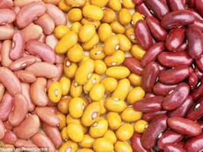 pakistan second largest australian pulses importer pakistan second largest australian pulses importer