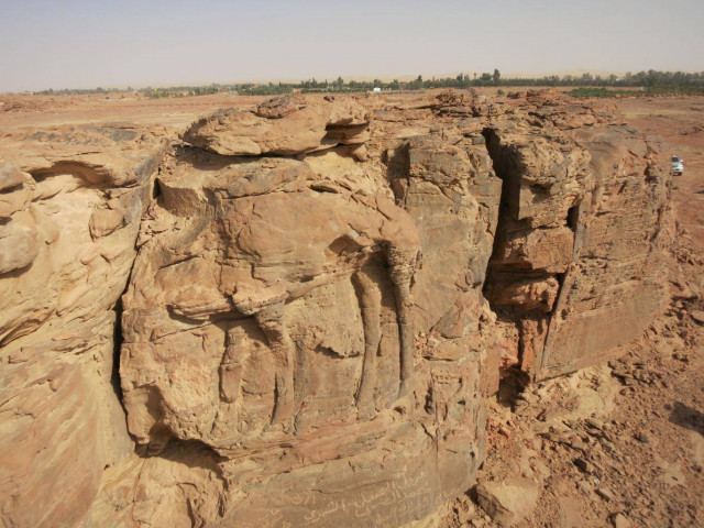 high relief carving of a standing dromedary on sandstone spur photo courtesy cnrs high relief carving of a standing dromedary on sandstone spur photo courtesy cnrs