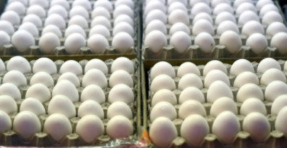 japan scientist uses egg white for clean energy