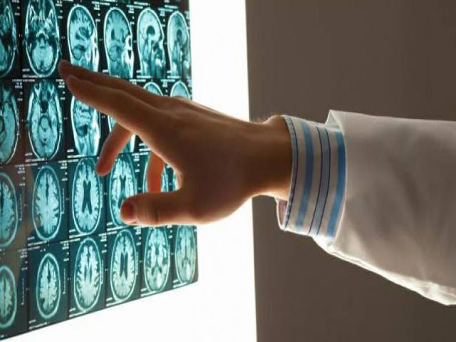 fathers play key role in the brain development of offspring photo afp fathers play key role in the brain development of offspring photo afp