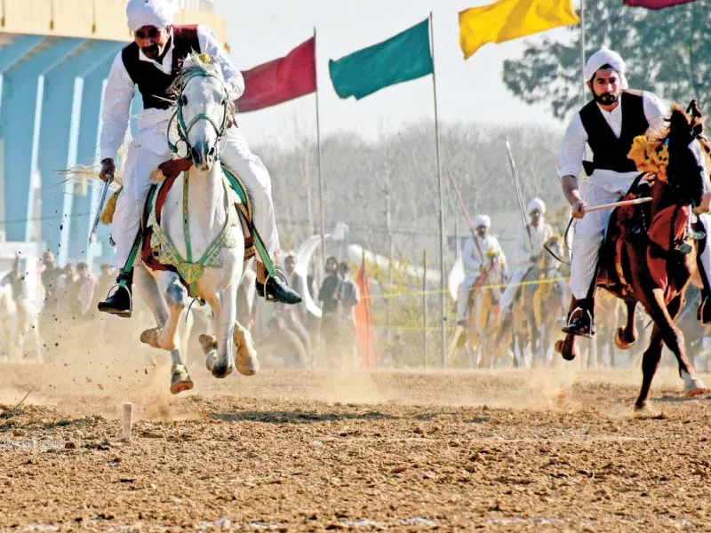 a participant holds aloft his peg at the annual tent pegging festival a participant holds aloft his peg at the annual tent pegging festival